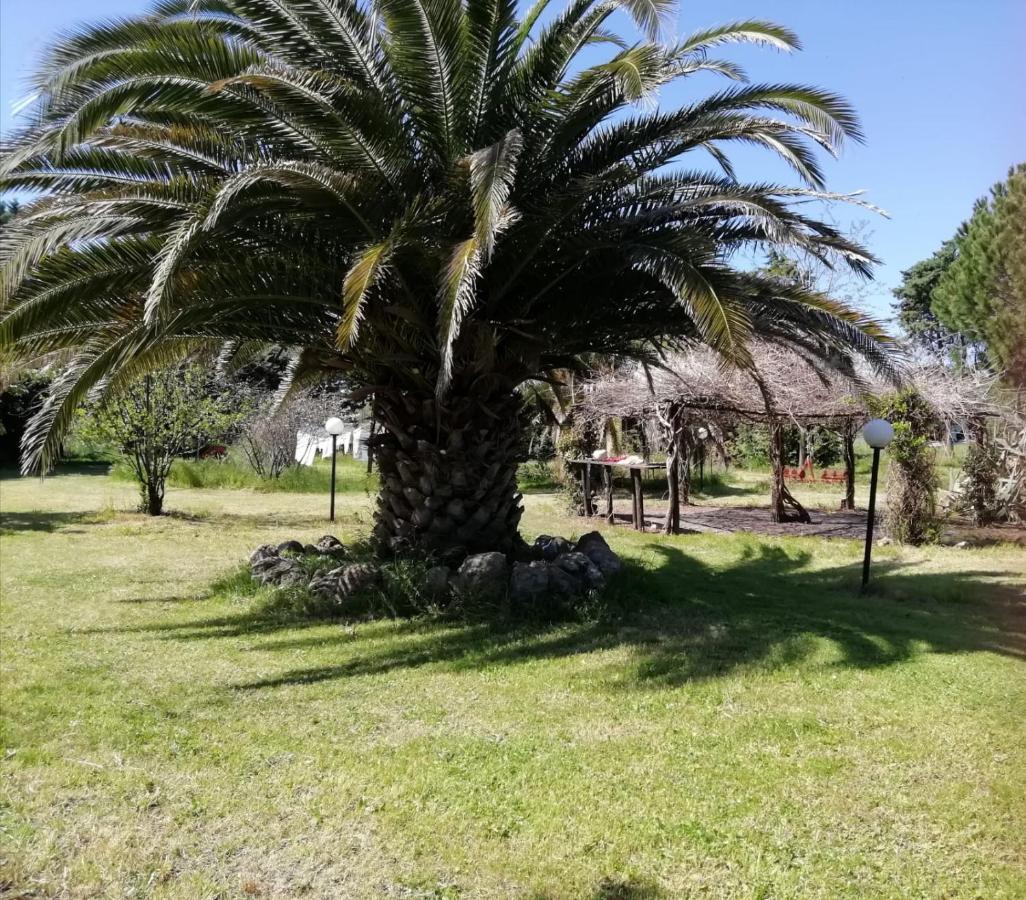 לינה וארוחת בוקר אורבטלו Capolinea Al Mare מראה חיצוני תמונה